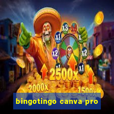 bingotingo canva pro